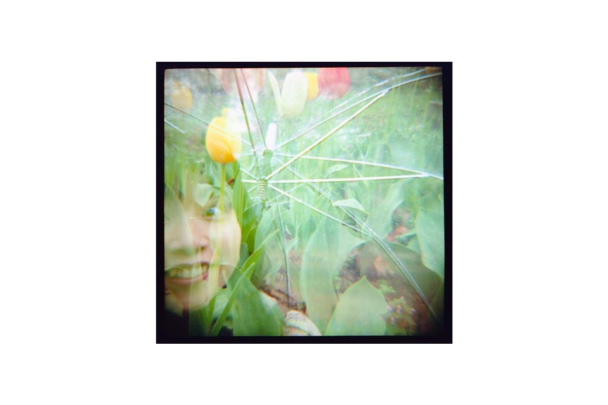Lomography 800 (120 film) Single roll